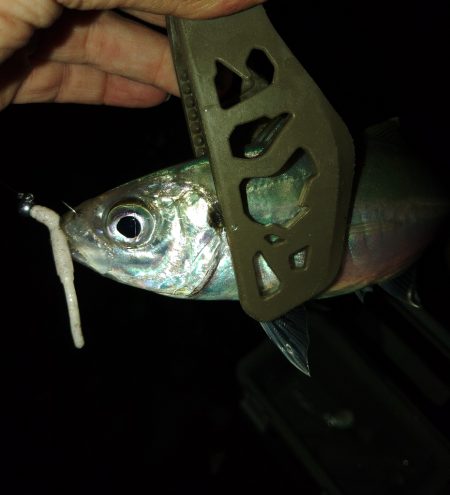 フロートゲーム~