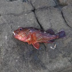 フロートゲーム～