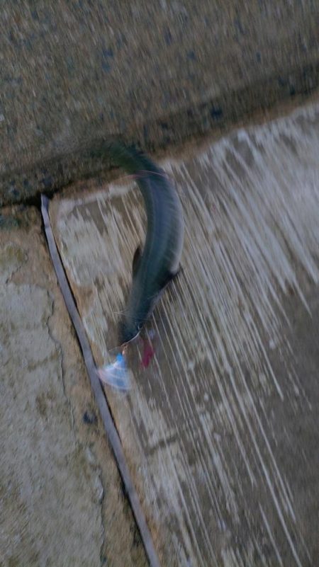 久しぶりの手応え