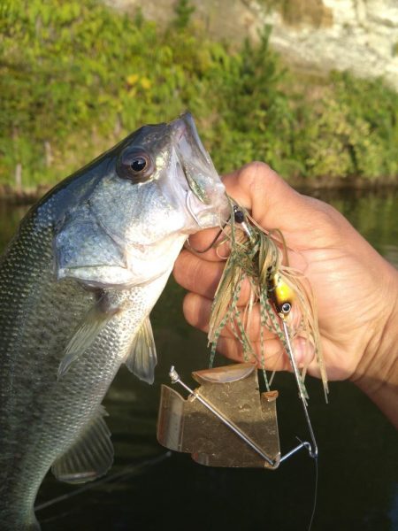 バズベイトで1本