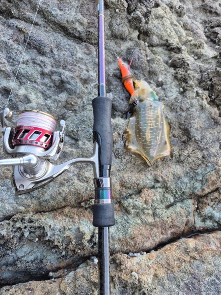 何年ぶりやろかなー エギング