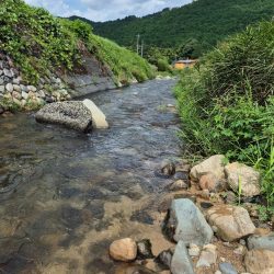 台風の恩恵は無かったです