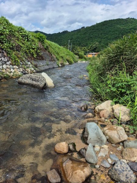 台風の恩恵は無かったです