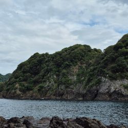 食べるだけは確保