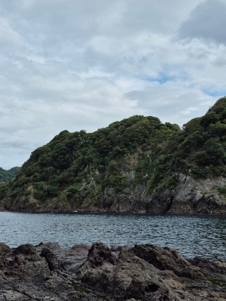 食べるだけは確保