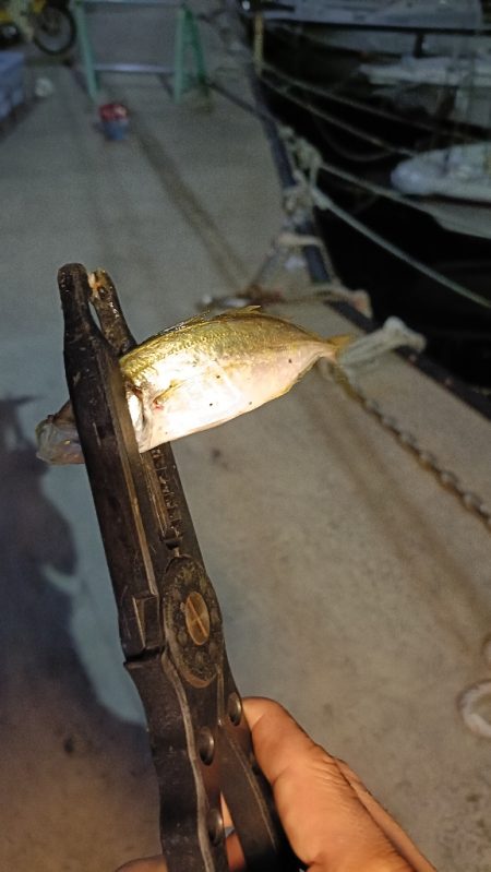 久しぶりの大阪湾