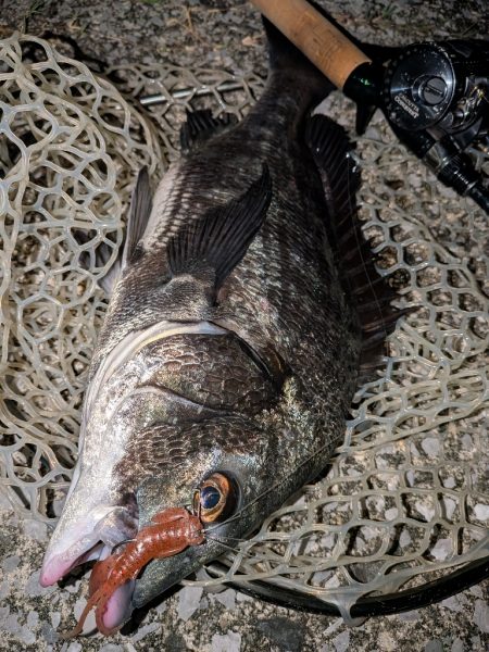 8月ラストチニングは敷石ナイトゲーム