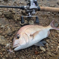 広島ライトゲーム8目47匹！