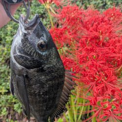 広島チニングイベント「回数杯」参戦！