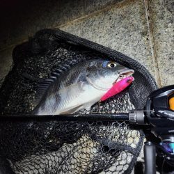 トップチニング