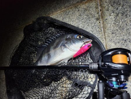 トップチニング