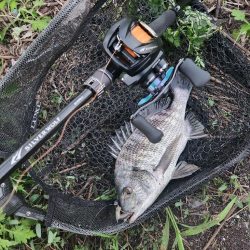 しごおわチニング