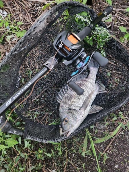 しごおわチニング