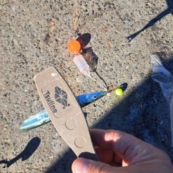 渋めサヨリからのサビキ