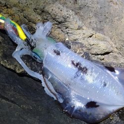 土砂降りを回避