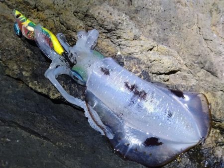 土砂降りを回避