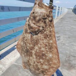 今年初ノマセ釣り🎣