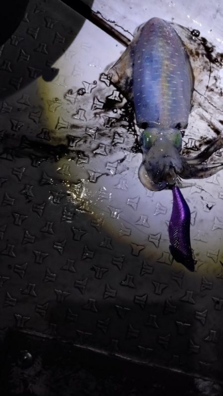 リベンジティップラン！