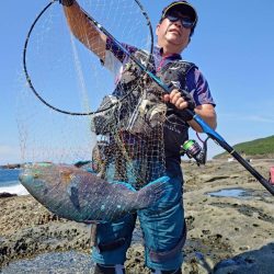 和歌山市江（吉丸渡船）でグレ釣り