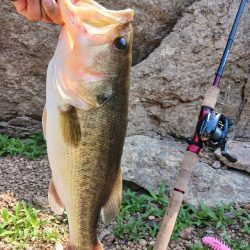 大減水!ボトム狙いで50UP!