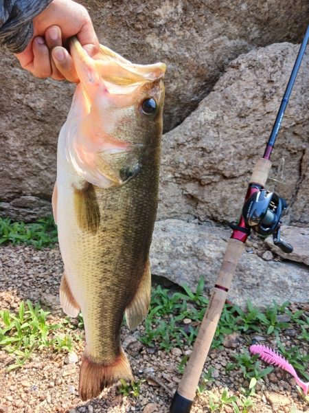 大減水！ボトム狙いで50UP！