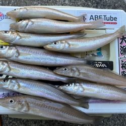 久しぶりの地元サーフ釣行でした