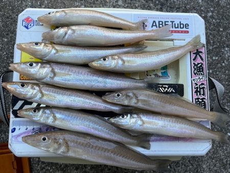 久しぶりの地元サーフ釣行でした