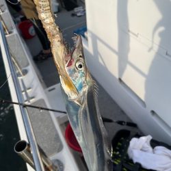 博多湾で初めてのタチウオ釣りしてきました