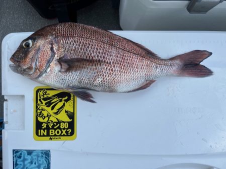 鹿児島錦江湾で１つテンヤのタイ釣り、また行…