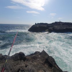 大荒れの中良型オナガグレ捕獲！