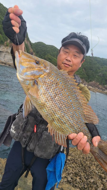 和歌山市江（吉丸渡船）で磯夜釣り