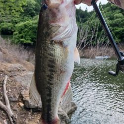 連休最終日も好調！！