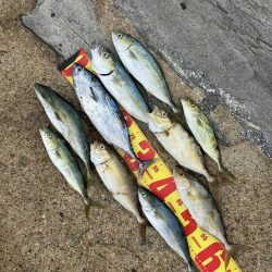 味をしめた磯にて、、ツヌケました〜