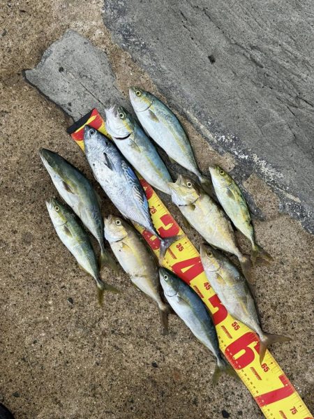 味をしめた磯にて、、ツヌケました〜