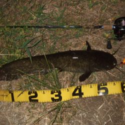 真夏のパターン