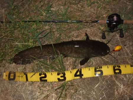 真夏のパターン