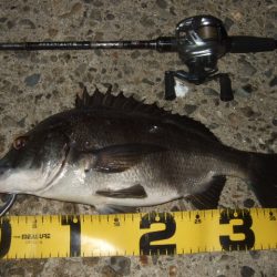 新規ポイントを開拓に