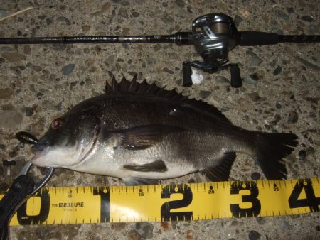 新規ポイントを開拓に