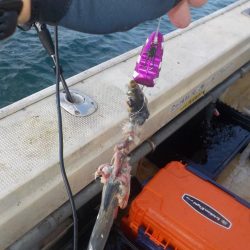 タチウオ第1戦〜盛和丸〜