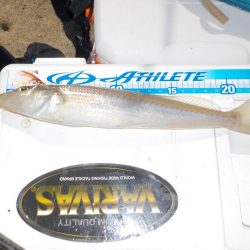 キス第2戦〜take sea〜