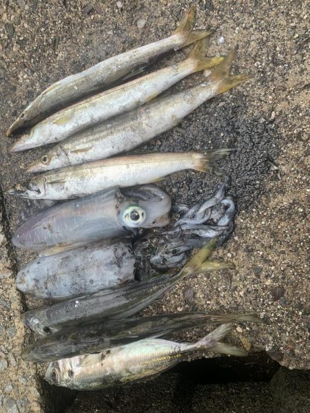 アジフライ　イカフライ