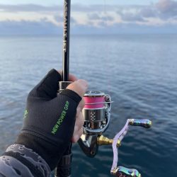 エギング　佐渡遠征③その2