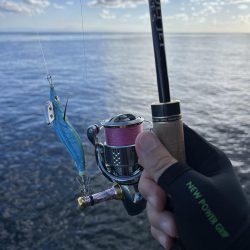 エギング　佐渡遠征③その3