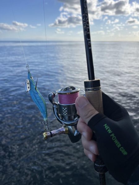 エギング　佐渡遠征③その3