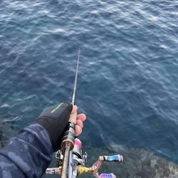 エギング 佐渡遠征③その4