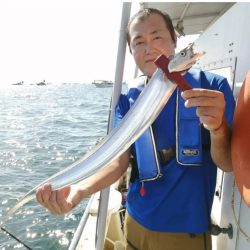 一年振りのタチウオさん