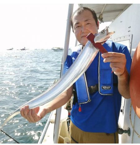 一年振りのタチウオさん