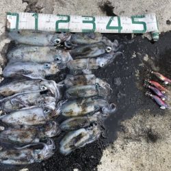 2025 佐渡ヶ島エギング Vol.9【9月14日】