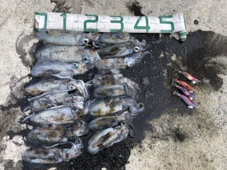 2025 佐渡ヶ島エギング Vol.9【9月14日】