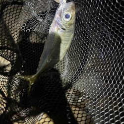 フロートアジング